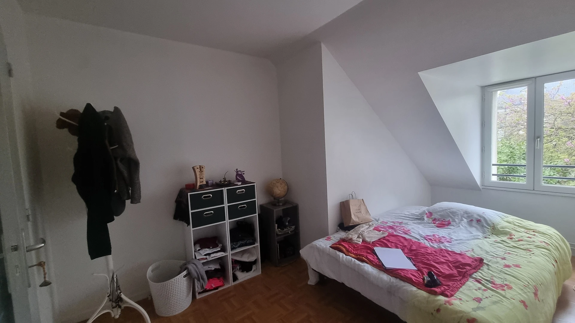 Before Image